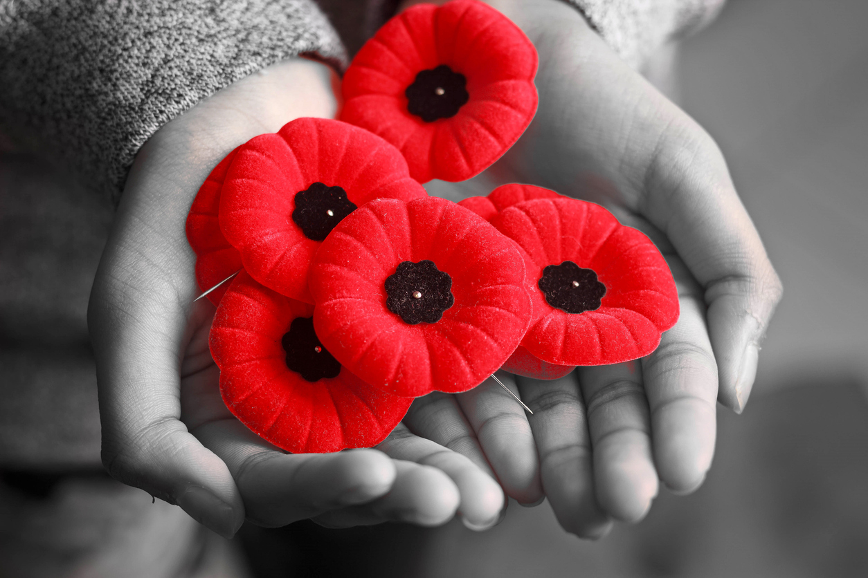 Remembrance Day Poppies