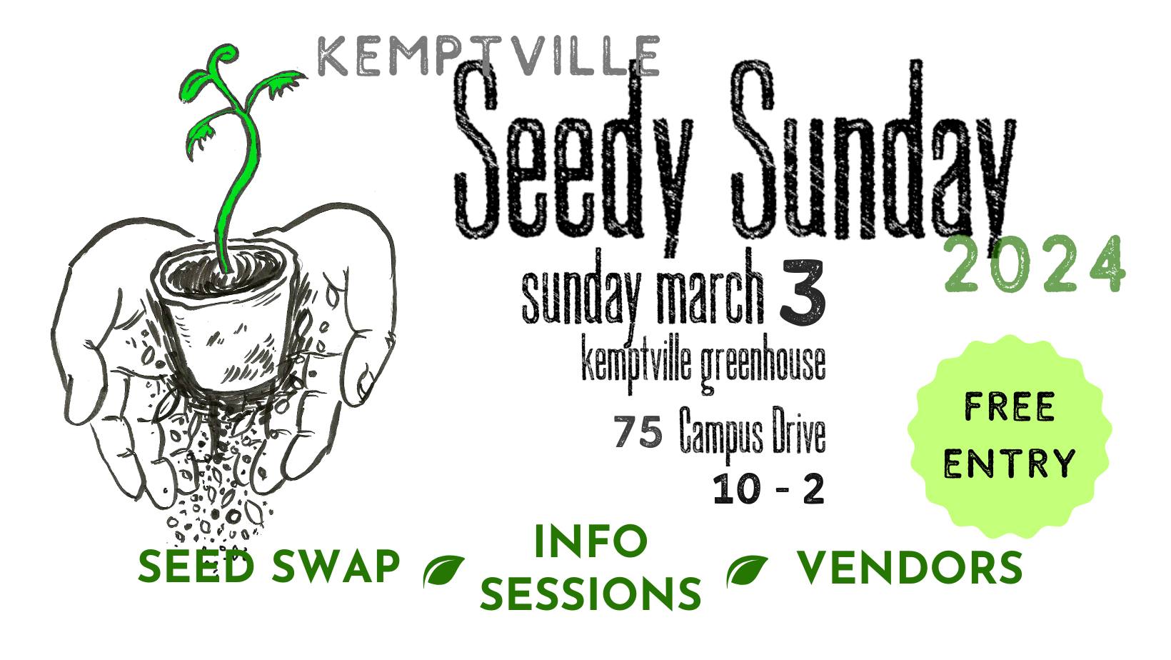 seedysunday2024