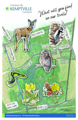 Connecting people and nature through art on the Kemptville Campus trails